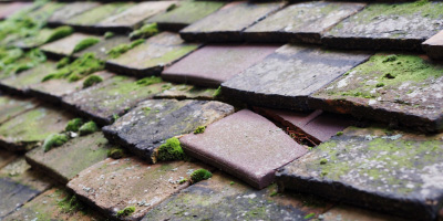 Saxon Street roof repair costs